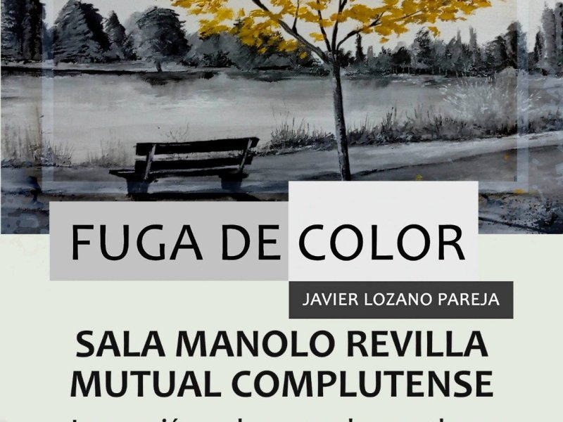 Exposición «Fuga de Color» de Javier Lozano Pareja